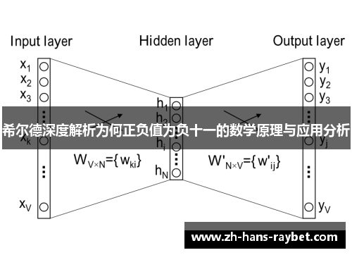 希尔德深度解析为何正负值为负十一的数学原理与应用分析